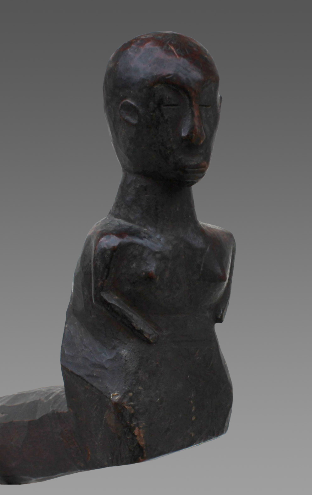 wf12: Pair of Ladder Handles